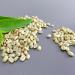 Ethiopian Yirgacheffe Raw Green Unroasted Coffee Beans 8 Ounces Sample Size 15883 - Buy Online on GoSupps.com