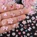 Umillars 3D Pink Flowers Nail Art Charms Rhinestones Kit - DIY Nail Designs Set - Buy Online on GoSupps.com
