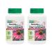 NaturesPlus Herbal Actives ImmunActin - 60 Zinc Lozenges Pack of 2 - Wild Cherry Flavor - Supports Immune Health - with Echinacea Elderberry & Olive Leaf - Gluten Free - 120 Total Servings