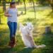 Itrimaka Dog Training Clickers | Positive Pet Training Tools & Behavioral Enhancers | Sky Blue - Train Your Dog & Cat Effectively - Buy Online on GoSupps.com