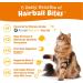 Zesty Paws Hairball Bites - Gut Health Soft Chews for Cats with Salmon | 60 Count - Buy Online on GoSupps.com