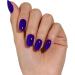 Bluesky Gel Nail Polish 10ml Speak Up! - AW2323 Purple Soak-Off Gel Polish for 21 Day Manicure Professional Salon & Home Use Requires Curing Under UV/LED Lamp - Buy Online on GoSupps.com