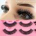20 Pairs Russian Strip Lashes - D Curl Cat-Eye Wispy False Eyelashes with Clear Band | Natural Look & Volume - Heracks - Buy Online on GoSupps.com