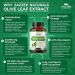 Zazzee Extra Strength Olive Leaf Extract 50:1 - 20 000 mg 40% Oleuropein 150 Vegan Capsules - Non-GMO All-Natural 5 Month Supply - Buy Online on GoSupps.com