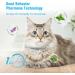 Kaspiu Calming Collar for Cats - 3 Pack Pheromone Calm Anxiety Relief for Kittens - Stress and Anxiety Relief - Breakaway Design - Gray - Buy Online on GoSupps.com