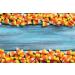Brach's Classic Candy Corn - Original Halloween Harvest Treat - 3lb Bulk Pack - Buy Online on GoSupps.com