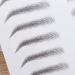 Beavorty 2pcs 3d Eyebrow Stickers Suit Eyebrow Transfer Stickers Artificial Eyebrow Miss Eyebrow Trimming - Buy Online on GoSupps.com