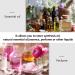 FOMIYES 2 Sets Aromatherapy Bottle Condiment Dispenser Diffuser Condiment Containers Ceramic Oil Bottle Ceramic Essential Oil Essential Oil Pot Liquid Bottle Storage Bottle Ceramics Olives - Buy Online on GoSupps.com