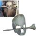 Halloween Hairpin Iron Small Exquisite Reusable Lifelike Halloween Hair Stick for Party Bar Home Halloween Hair Accessories for Women (Skeleton Shaped) - Buy Online on GoSupps.com
