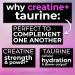 Creatine with Taurine for Women & Men - Unflavored Micronized Creatine Monohydrate Plus Taurine Powder to Support Muscle Strength Recovery & Brain Health (60 Servings) Unflavored 14.96 Ounce (Pack of 1) - Buy Online on GoSupps.com