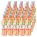 ViO Schorle Rhubarb 25 bottles each 0.3l incl. REFILLABLE deposit