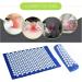 Buy Dunlap Massage Pillow - 6 Types for Stress Relief & Back Pain - Acupuncture & Relaxation - Green with Bag - International Shipping Available - Buy Online on GoSupps.com