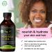 Nourish & Strengthen Hair from Inside Out with Moringa Oil & Capsules - Mother Nature Organics - Healthy Hair Growth - Buy Online on GoSupps.com