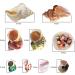 Hermit Crab Shells Set - 17PCS of 9 Types, Medium to Small Growth Turbo Seashells 0.6-1.6 Inch, Various Opening Sizes, Natural - Buy Online on GoSupps.com