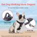 Shop Pawaii XS Dog Harness for Small Dogs - Anti-Pull Reflective Adjustable & Breathable with Handle | Ideal for Comfort & Control - Davys Gray - Buy Online on GoSupps.com