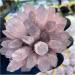 Natural Crystal Rough Crystal Cluster Natural Rose Crystal Cluster Flower Gem Gift Room Office Decor Gift (Size : 300-350g) - Buy Online on GoSupps.com