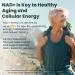 Liposomal NAD+ Resveratrol Supplement | Nicotinamide Riboside 1000mg, B3, CoQ10 | NMNH Supplement Alternative for Anti-Aging, Cellular Energy & Focus, NAD Plus for Women & Men, Sugar Free, 60cts - Buy Online on GoSupps.com
