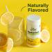 Stur Electrolyte Hydration Powder - Lemonade Flavor | Sugar Free | 100 Servings | Antioxidants & B Vitamins | Non-GMO | Keto & Vegan Friendly - Buy Online on GoSupps.com