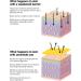 Nip+Fab Ceramide Fix Serum 12% 50 ml Replenishing Ceramide-Enriched Complex Skin Barrier Strengthener Rebalance and Soften the Skin with Niacinamide Azelaic Acid and Biolin - Buy Online on GoSupps.com