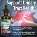 Nature's Answer Juniper Berry Supplement - Organic Alcohol Urinary Tract Support & Healthy Kidneys | 2 oz International Shipping - Buy Online on GoSupps.com