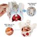 Esmen Female Pelvis Perineum Model - Removable Organs & Magnetic Mounting for Educational Display | International Shipping - Buy Online on GoSupps.com