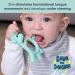 Bibado Baby Teething Toy - Dawn The Dinosaur Silicone Teether for Soothing Gums and Self Feeding - Baby Gift for Girls and Boys - Buy Online on GoSupps.com