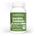 Herbsforever Garcinia Cambogia Extract Supplement | Supports Healthy Lifestyle & Weight Management | Natural Herbal Formula | 90 Vegetarian Capsules for Adults