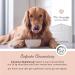 Annimally Vitamins for Dogs - Multivitamin Complex Powder with Barley Grass Spirulina & Brewers Yeast | 200g | 17+ Natural Vitamins & Minerals - Buy Online on GoSupps.com