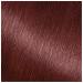 Garnier Nutrisse 452 Dark Reddish Brown Hair Dye 3-Pack - Chocolate Cherry Shade - Buy Online on GoSupps.com