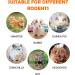 Natural Timothy Hay Treats for Rabbits, Guinea Pigs, Hamsters - Pack of 12 Handmade Chews & Treats for Teeth - Bunny & Gerbil Toys Included - Buy Online on GoSupps.com