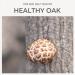 DALAMHARI Dried Shiitake Mushrooms Donggo Grade A+ (140g) - Healthy Low Carb Diabetics Veggie | Cooking Korean Plant Based Vegan Food - Buy Online on GoSupps.com