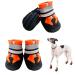 Neuwee Dog shoes 4-Set Waterproof Dog Choes Anti-slip dog depth with reflective straps rain shoes Dog boots Paw protection for small medium-sized large dogs (L Orange) L orange