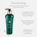 T-LAB PROFESSIONAL Natural Lifting Duo Shampoo for Oily Hair Sulfate-free Volumizing Shampoo for Thin Hair Organic Thickening Shampoo for Hair Growth and Salon Volume 10.14 Fl Oz - Buy Online on GoSupps.com