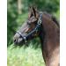 ARBO-INOX Foal Halter - Softly Padded 2-Way Adjustable Decorative Cord - Pony Foal Navy - Buy Online on GoSupps.com