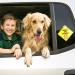 TIESOME 2 pcs Baby on Board Car Warning Sticker Set Giraffe + Lion | Reusable Decal with Suction Cups | Baby in Car Window Cling Sign - Buy Online on GoSupps.com