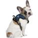 Littlearth NCAA Arizona Wildcats Front Clip Pet Harness - Team Color (Medium) - Buy Online on GoSupps.com