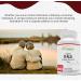 R-ALA (Alpha Lipoic Acid) 100 mg Capsules - Antioxidant-Rich Supports Cellular Health & Wellbeing - 250 Capsules Non-GMO Gluten-Free - Buy Online on GoSupps.com