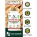 Panax Organic Red Ginseng from Korea | Extra Strong 900mg/day | Energy Strength Anti-Stress Concentration | 90 Capsules of 300mg | Top Quality - Buy Online on GoSupps.com
