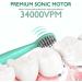Kids Sonic Electric Toothbrush | Rechargeable Bear Toothbrush for Boys Girls Age 3-12 | 30s Reminder, 2 Min Timer, 5 Modes | 8 Brush Heads | Green - Buy Online on GoSupps.com