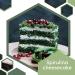 Erbotech Organic Spirulina Powder 200g - High Protein Calcium & Vitamins | Vegan Superfood Made in Italy - Buy Online on GoSupps.com