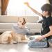 WinMany Adjustable Dog Cat Recovery Cone - Inflatable Protective Collar for Post-Operation Care | Scratch Prevention - Blue (L) - Buy Online on GoSupps.com