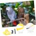 Angoily 4 Sets Bird Leash Suspend Cockatiel Harness and Leash Beard Kit Parrot Flying Leash Kit Flight Strap 12X6X1.3CMx4pcs Yellowx4pcs - Buy Online on GoSupps.com