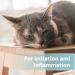Felisept Skin Care Spray for Cats 250ml - Mite treatment for cats - Cat itchy skin relief - Cat dandruff treatment - Itching spray cat - Itch relief for cats - Skin care spray cats - Mild care - Buy Online on GoSupps.com