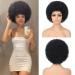 G&T Wig 70s Afro Wigs for Black Women, Afro Puff Wigs Bouncy and Soft Natural Looking Full Wigs for Daily Party Cosplay Costume(1B)