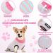 PatinaDrift Dogebody Wound Protection Suit for Dogs - Cone Alternative After Surgery (Pink/Blue Medium) - Buy Online on GoSupps.com