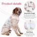 XXL Dog Surgical Recovery Suit | Soft & Breathable Onesie for Post-Op Dogs & Cats - Spay Castration Bodysuit - Buy Online on GoSupps.com
