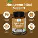 Bundle of Nootropic Brain Supplement for Mental Health & Clarity with VIT A B6 Riboflavin Niacin Thiamin Folate and Advanced Lion's Mane Mushroom Supplement - Brain Health Memory Support & Focus - Buy Online on GoSupps.com