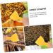 POPETPOP 2pcs Plastic Honey Spatula Plastic Dough Scraper Beekeeping Honey Scraper Extractor Multifunction - Buy Online on GoSupps.com