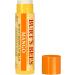 Burts Bees Mango Moisturizing Lip Balm 0.15 oz | Unisex Lip Care | International Shipping Available - Buy Online on GoSupps.com