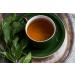 KORRES Mint Tea Revitalising Shower Gel 250ml - Active Aloe Vera Vegan & Dermatologically Tested - Shop Internationally - Buy Online on GoSupps.com